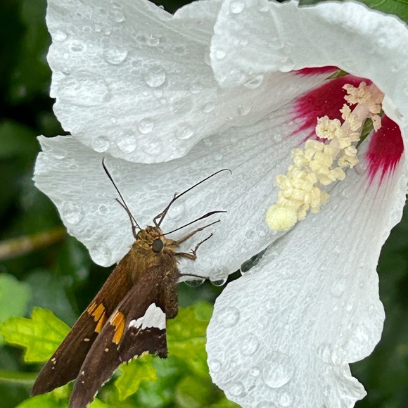 About me Photos🥳🥳❌❌ - Picture 3 of 14